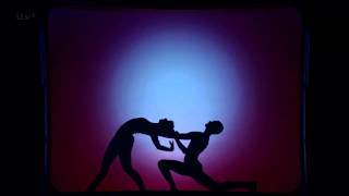 Britains Got Talent  Hungarian Shadow Dancers  Attraction Black Light Theatre HD 720p [upl. by Joly]