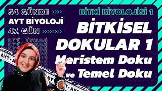 47 Bitkisel Dokular 1  Bitki Biyolojisi  12 Sınıf Biyoloji  2024 AYT Biyoloji 47 Gün [upl. by Trahurn963]