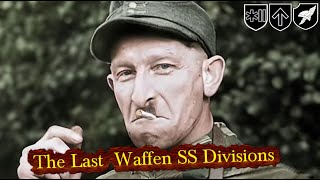 The 3 Worst and Most Precarious Divisions of the German Waffen SS [upl. by Ttezzil]