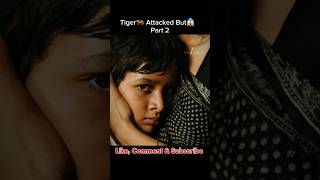 Part 2 Life of Pi Movie Explanation Hindi  Tiger🐅 Attacked But😱 shorts movie shortsfeed [upl. by Tomchay347]