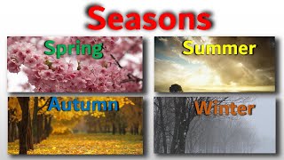 Seasons  Seasons of Change A Journey through Natures Phases [upl. by Compte]