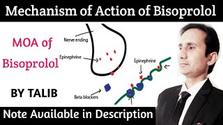 Mechanism of Action of Bisoprolol   Atenolol  Acebutelol  Metoprolol [upl. by Oirobil]