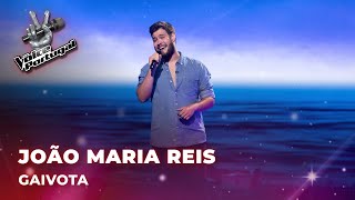 João Maria Reis  “Gaivota”  Provas Cegas  The Voice Portugal 2023 [upl. by Neeleuqcaj]