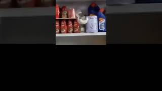 two rat 🐀🐁 mouse 🐁 🐭 fighting on a groceries shop [upl. by Barnie]