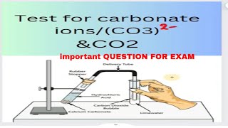 How to test Carbonate scienceexperiment chemicalreaction carbonatetest science co2chemisrty [upl. by Airdnua]