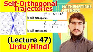 Self orthogonal trajectories examples  self orthogonal curves  lecture 48  Hindi [upl. by Scriven]