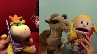 Camel ha beeb ha bob compilation [upl. by Tirza]