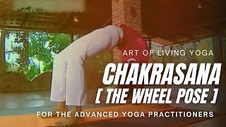 Yoga Chakrasana Wheel Pose or Urdhva Dhanurasana  How To Do Chakrasana [upl. by Ynahpets]