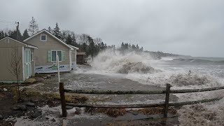 Waves crashing on shore  Pemaquid Trail New Harbor Maine Jan 13 2024 [upl. by Nylessej]