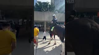 Canadian Police Horses  Downtown Toronto  Canada 🇨🇦 [upl. by Aicilav]