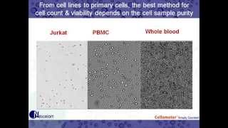 Performing viability assays on Primary Cells using Trypan Blue and AOPI [upl. by Barna601]