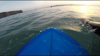 POV Surfing Arrifana  52quot Twin fin [upl. by Lanevuj776]