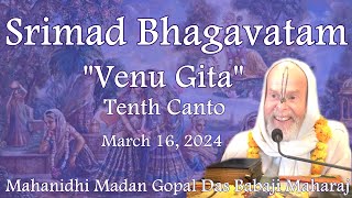 SBS March 16 2024 quotVenu Gita Tenth Cantoquot Mahanidhi Madan Gopal Das Babaji Maharaj [upl. by Rotberg]