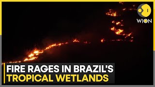 Brazil Wildfire Satellite data shows fires in Brazilian wetlands have surged 980  WION [upl. by Rossie]