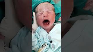 New born baby after birth moment cutebaby babyshorts [upl. by Oeram]