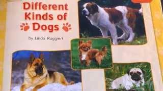 Kindergarten Read aloud Different Kinds of Dogs By Linda Ruggieri [upl. by Edme]