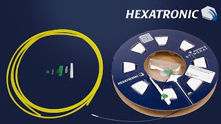 Hexatronic Stingray  Swift Ferrule Termination Tutorial [upl. by Gilroy]