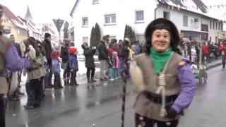 Narrentreffen Nendingen am 01022015 [upl. by Anneres]