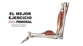 VIDEOpaper El mejor ejercicio para FEMORAL [upl. by Htezil]