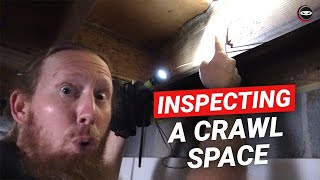 Crawl Space Inspection  Tips for Inspecting Your Crawl Space  Find Crawl Space Problems Like This [upl. by Rrats]