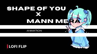 Shape Of You X Mann Mera Slowed  Reverb By animeation07 [upl. by Kamila121]