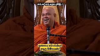 Ven Borelle Athula Thero  සරු දේ සරු දේ ලෙස දකිමු [upl. by Ohce]