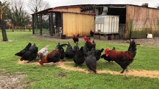 quotTous les chemins mènent à vous quot à Marans en CharenteMaritime [upl. by Sicular]