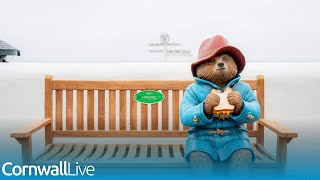 Paddington Bear statue pops up in Cornwall [upl. by Goldshlag]