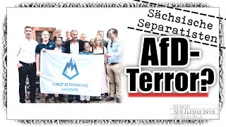 Von Verhaftungen der AfD und SPDGrünen Von phantasiertem und von realem Terror [upl. by Nuhsar]