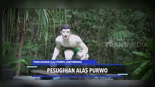 PENELUSURAN ALAS PURWO BANYUWANGI [upl. by Weeks]