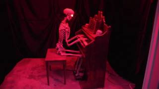 Skeleton Playing Organ [upl. by Ogram496]