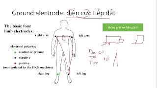 Cơ chế điện tâm đồ ECG  Y3 [upl. by Gnilsia]