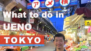 A Must See Area in Tokyo for Sight Seeing ♢ Whats in Ueno Tokyo [upl. by Billi]