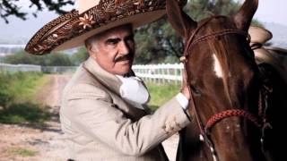 Vicente Fernandez Mix de Rancheras [upl. by Gordy7]