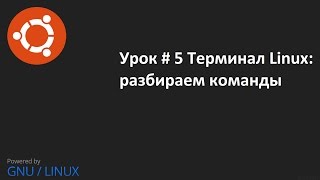 Видео урок 5 Терминал Linux изучаем команды терминала [upl. by Valdas]