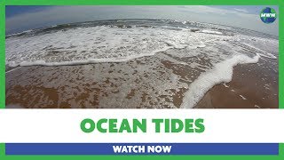 Ocean Tides  Flood and Ebb of ocean waters [upl. by Teddman]