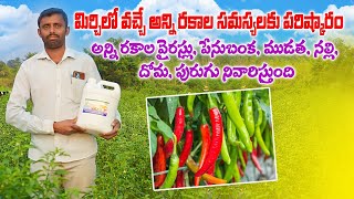 మిర్చి లో వచ్చే అన్ని సమస్యలకు పరిష్కారం  Virus Control in Chilli Crop Telugu  AgriTech Telugu [upl. by Drwde]