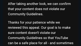 I Appealed My Video Getting Flagged and Won Dont be defeatist [upl. by Einnoj327]