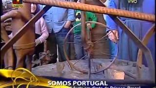 Somos Portugal no Presepio de Priscos Parte 14 20121223 TVI [upl. by Aiveneg]