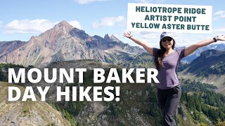 Beautiful Hikes Mount Baker Heliotrope Ridge Artist Point amp Yellow Aster Butte [upl. by Sawyer]