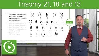 Chromosomal Abnormalities Trisomy 2118 amp 13 – Embryology  Lecturio [upl. by Gaal391]