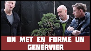 FORMER un GENĆ‰VRIER en BONSAĆ¸ š± NEJIKAN BONSAI š± [upl. by Culberson]