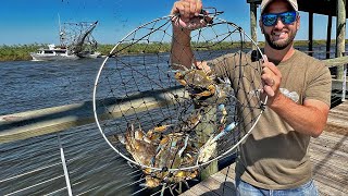 Netting LOTS OF CRABS From a Public Pier  Blue Crab Catch and Cook [upl. by Hgielsel]