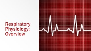 Respiratory Physiology Overview [upl. by Un]