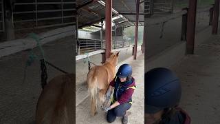 Popo pare les pieds de Mumule 🐽😂 equitation cheval [upl. by Melony641]