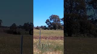 10 seconds of a John Deere 7810 doing firebreaks farming firebreaks [upl. by Rohclem641]