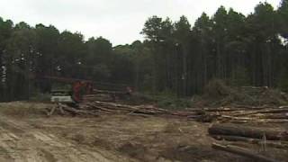 Timber Harvest Delimbing 2 [upl. by Hatnamas]