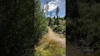 Trysil playboicarti mtb [upl. by Jeramie]