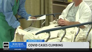 COVID cases climb in Northern California as new variant spreads [upl. by Nabal872]