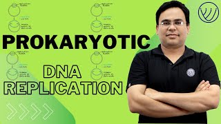 DNA REPLICATION IN PROKARYOTES  INITIATION ELONGATION TERMINATION  CSIR NET LIFE SCIENCE [upl. by Ellivnarg515]